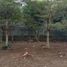  Terreno (Parcela) en venta en Sumurbandung, West Jawa, Sumurbandung
