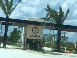  Grundstück zu verkaufen in Tixpehual, Yucatan, Tixpehual, Yucatan