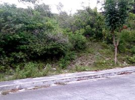  Grundstück zu verkaufen in Cebu, Central Visayas, Consolacion