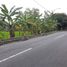  Terreno (Parcela) en venta en Seyegan, Yogyakarta, Seyegan