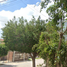 2 Habitación Casa en venta en Leon, Guanajuato, Leon
