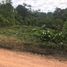  Terrain for sale in Pedro Vicente Maldonado, Pichincha, Pedro Vicente Maldonado, Pedro Vicente Maldonado