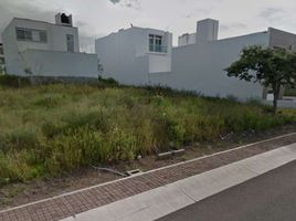  Land for sale in El Marques, Queretaro, El Marques