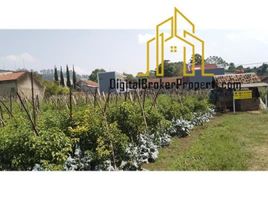  Grundstück zu verkaufen in Lembang, West Jawa, Lembang, Bandung