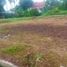  Land for sale in Bogor Selatan, Bogor, Bogor Selatan