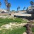  Grundstück zu verkaufen in Ensenada, Baja California, Ensenada