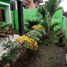 3 Schlafzimmer Villa zu verkaufen in Mlati, Yogyakarta, Mlati