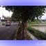  Land for sale in Wlingi, East Jawa, Wlingi, Blitar