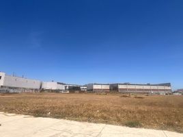  Land for rent in Colima, Colima, Colima, Colima