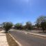  Land for rent in Colima, Colima, Colima, Colima