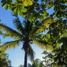  Terreno (Parcela) en venta en Cozumel, Quintana Roo, Cozumel
