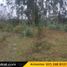  Land for sale in Solano, Deleg, Solano