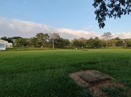  Land for sale in Cauca, Santander De Quilichao, Cauca