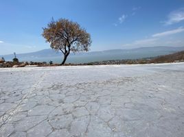  Terreno (Parcela) en venta en Chapala, Jalisco, Chapala
