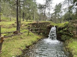  Grundstück zu verkaufen in Tapalpa, Jalisco, Tapalpa