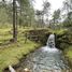  Land for sale in Tapalpa, Jalisco, Tapalpa
