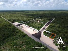  Terreno (Parcela) en venta en Yaxkukul, Yucatán, Yaxkukul