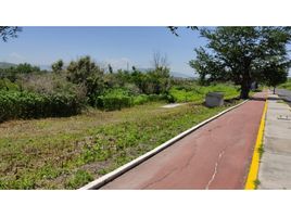  Terreno (Parcela) en venta en Puente De Ixtla, Morelos, Puente De Ixtla