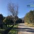  Land for sale in Chile, Puerto Montt, Llanquihue, Los Lagos, Chile
