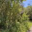  Land for sale in Chile, Puerto Montt, Llanquihue, Los Lagos, Chile