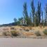  Land for sale in Confluencia, Neuquen, Confluencia