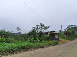  Land for sale in Santo Domingo De Los Colorados, Santo Domingo De Los Tsachilas, Santo Domingo De Los Colorados, Santo Domingo, Santo Domingo De Los Tsachilas