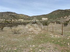 Land for sale in Santiago, Santiago, Santiago, Santiago