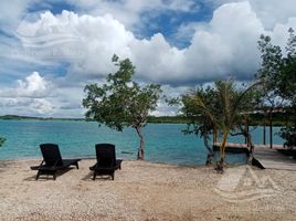  Grundstück zu verkaufen in Othon P Blanco, Quintana Roo, Othon P Blanco