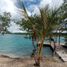  Grundstück zu verkaufen in Othon P Blanco, Quintana Roo, Othon P Blanco