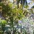  Land for sale in Negara, Bali, Negara, Jembrana