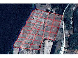  Terreno (Parcela) en venta en Biobío, Quillego, Biobío, Biobío