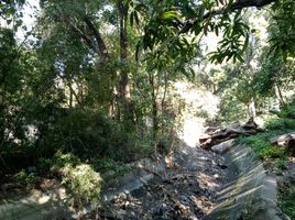  Land for sale in Miacatlan, Morelos, Miacatlan