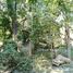  Land for sale in Miacatlan, Morelos, Miacatlan