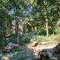  Land for sale in Miacatlan, Morelos, Miacatlan
