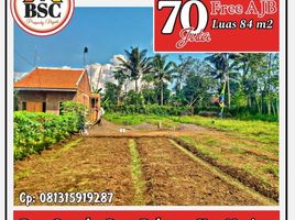  Land for sale in Kepanjen, Malang Regency, Kepanjen