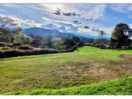  Terreno (Parcela) en venta en El Carmen De Viboral, Antioquia, El Carmen De Viboral