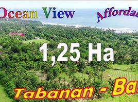  Land for sale in Selemadeg, Tabanan, Selemadeg