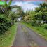  Land for sale in Selemadeg, Tabanan, Selemadeg