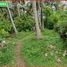  Land for sale in Selemadeg, Tabanan, Selemadeg