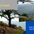  Land for sale in Tepus, Yogyakarta, Tepus, Gunung Kidul
