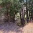  Land for sale in Chile, Paine, Maipo, Santiago, Chile