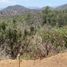  Land for sale in Chile, Paine, Maipo, Santiago, Chile