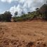  Land for sale in Yolombo, Antioquia, Yolombo