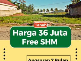  Land for sale in Banyuwangi, East Jawa, Gambiran, Banyuwangi