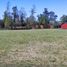  Terreno (Parcela) en venta en Chile, Villarrica, Cautín, Araucanía, Chile