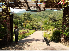 1 Schlafzimmer Haus zu verkaufen in Chame, Panama Oeste, Nueva Gorgona