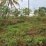  Land for sale in Bogor, West Jawa, Bogor Selatan, Bogor