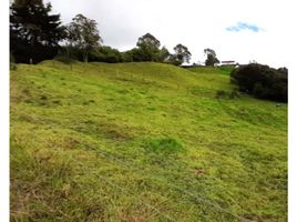  Land for sale in San Pedro De Los Milagros, Antioquia, San Pedro De Los Milagros