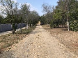  Grundstück zu verkaufen in Montemorelos, Nuevo Leon, Montemorelos