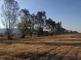 Terrain à vendre à Queretaro, Queretaro, Queretaro, Queretaro, Mexique